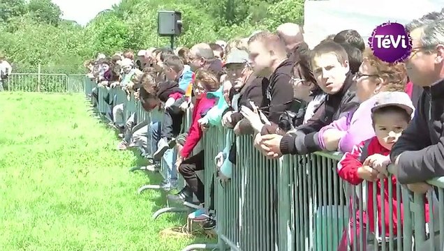 10e édition de Vaches en fête à Sainte-Mère-Eglise [TéVi] 15_07_17