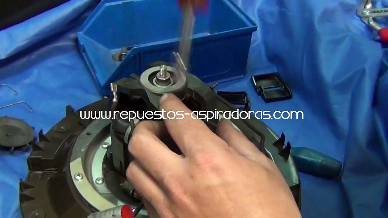 Cambio Escobillas de motor de la aspiradora Rainbow SE / D4