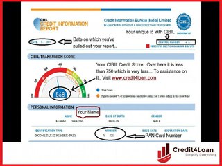 How to read (understand) your CIBIL Credit Information Report