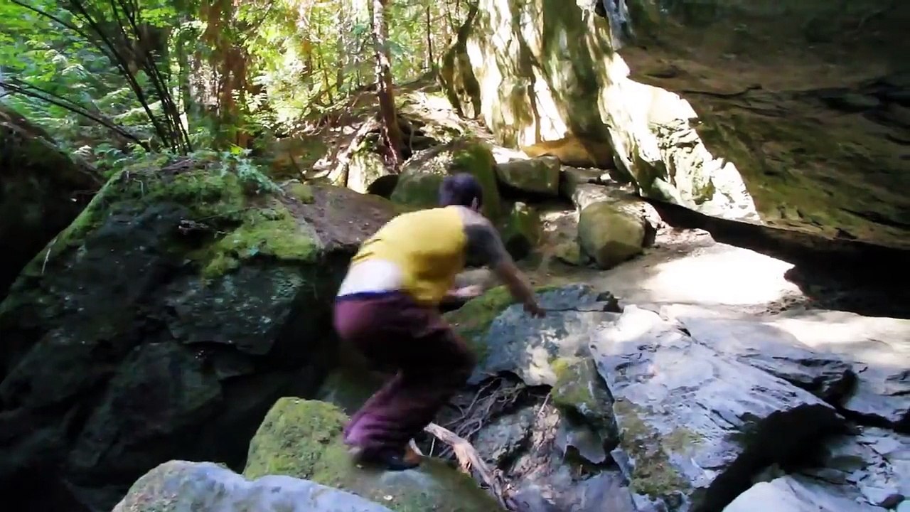 Rafe Kelley - Return to the Source