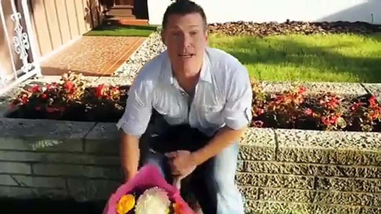 Compilation : Ils apprennent qu'ils vont être papa