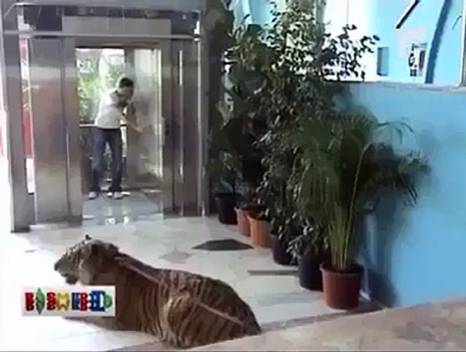 funny