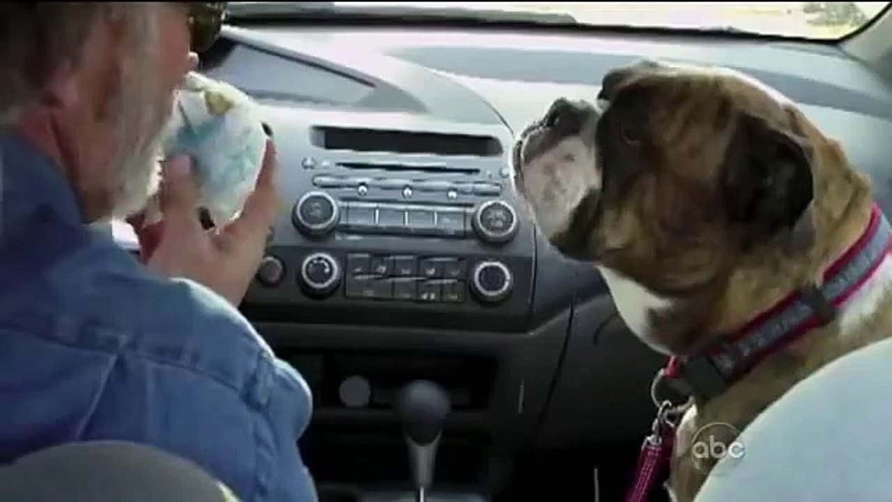 Drooling dog (Americas Funniest Home Videos / AFV)