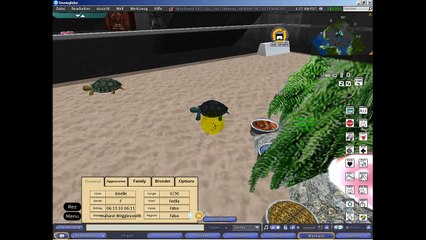 Mein neues Schildkröten Gehege.HD