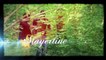 Nouveauté Zouk 2015 - Vidéo Clip Mayerline - " Celle "