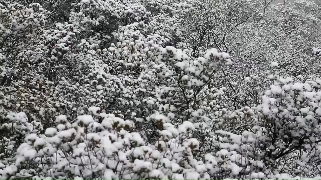 念仏宗無量寿寺(念佛宗)総本山「佛教之王堂」兵庫県加東市 - 冬の総伽藍