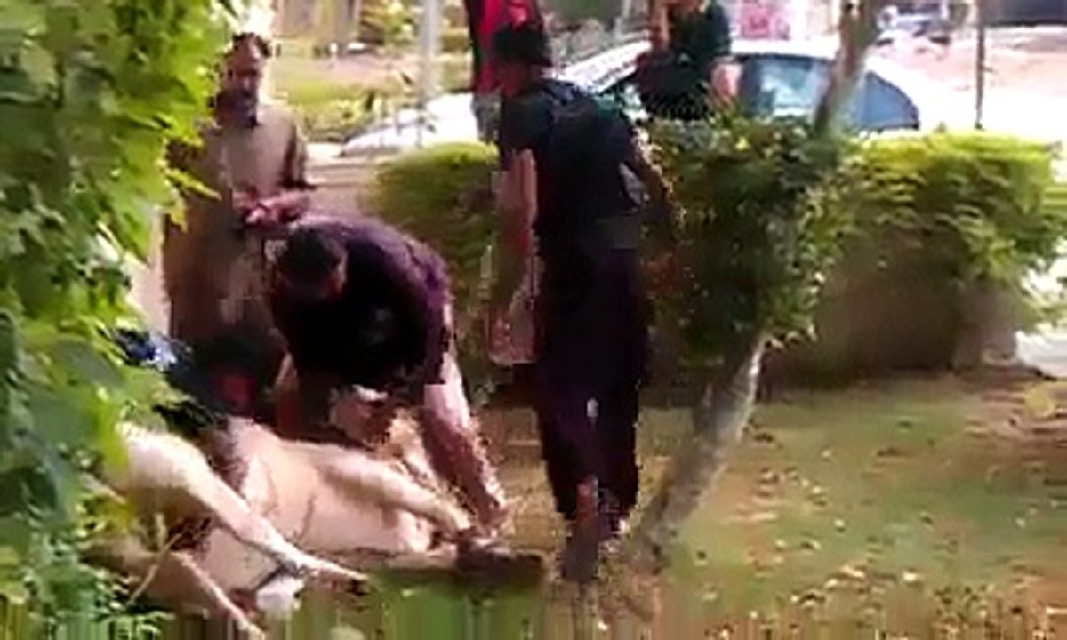 anardi kasab