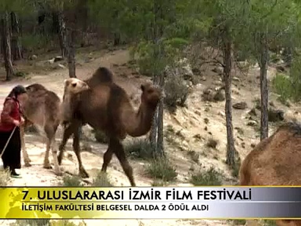 Göç Belgeseli