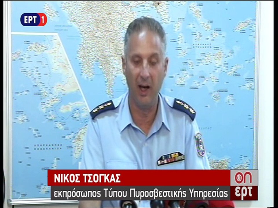 Δηλώσεις εκπροσώπου της Πυροσβεστικής, Νίκος Τσόγκας
