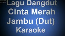 Lagu Dangdut Cinta Merah Jambu Dut Karaoke Instrument mp3