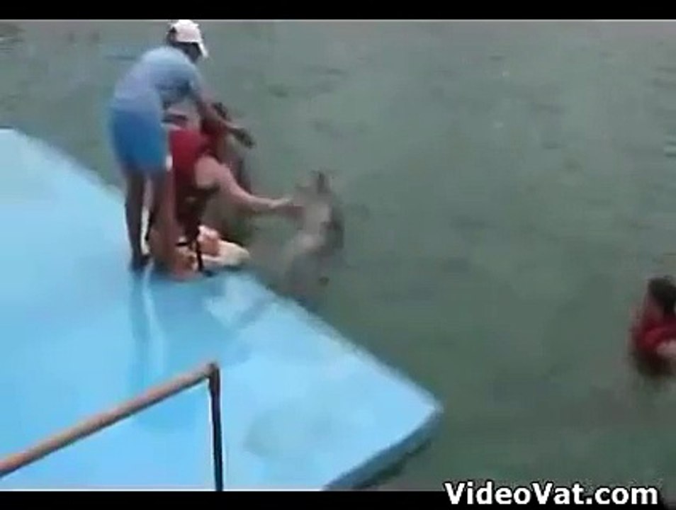 Dolphin hump...