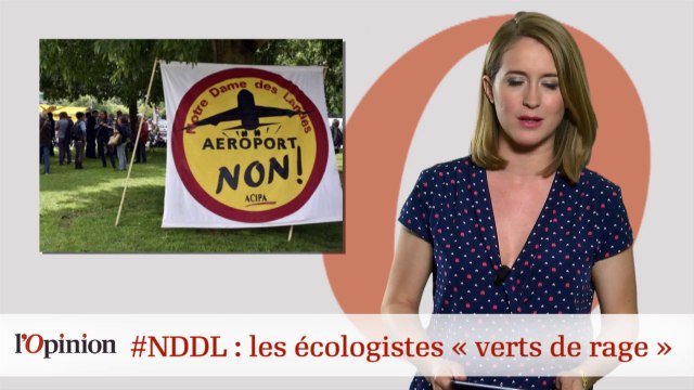 #tweetclash : #NDDL: les écologistes verts de rage