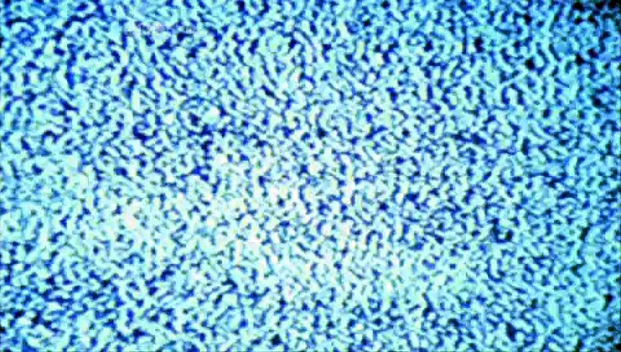 Charlie Brooker's Newswipe S1E1P1