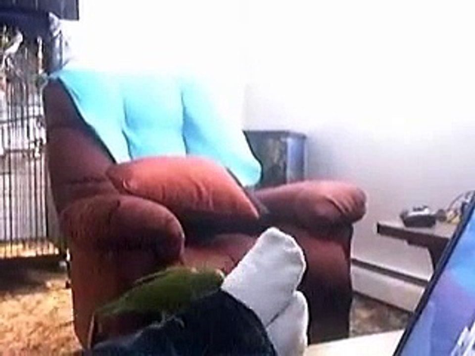 Funny Female Quaker!