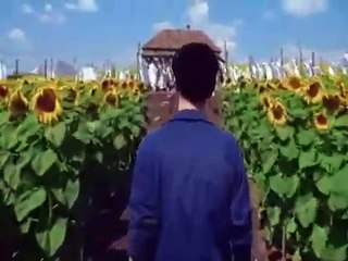 Ogni cosa è illuminata Passato e futuro - Минуле і майбутнє