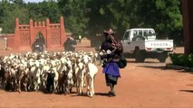 Mali: UN Stumbles in Mali, Leaving Displaced in the Lurch