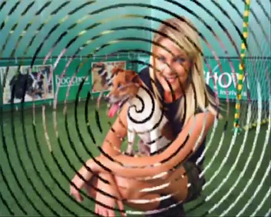 Wind - A Estrela das Propagandas