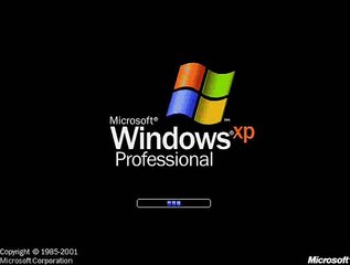 Windows XP Tylenol