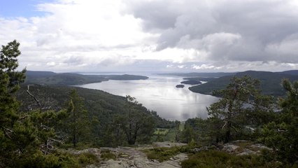 Voyage : la Haute Côte suédoise en trois étapes
