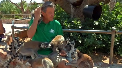 Greece’s zoo animals affected by controls