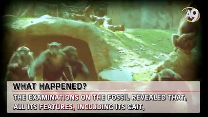 What darwinists said, what happened then