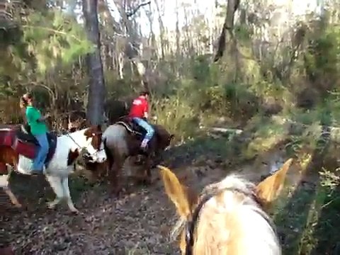 Fun during spring break 2010 with Tennessee Walking Horses and kids!