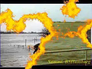 Der Klimahype von mir inszeniert