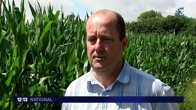 Plus de 20 000 éleveurs au bord du dépôt de bilan