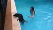 Dog's First Swim