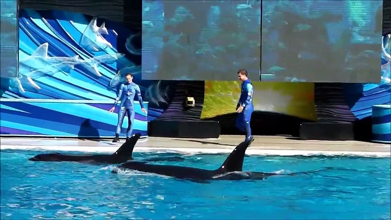 One Ocean ~ Side by Side