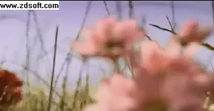 Kelloggs Honey Corn Flakes - Worker Bees Advert