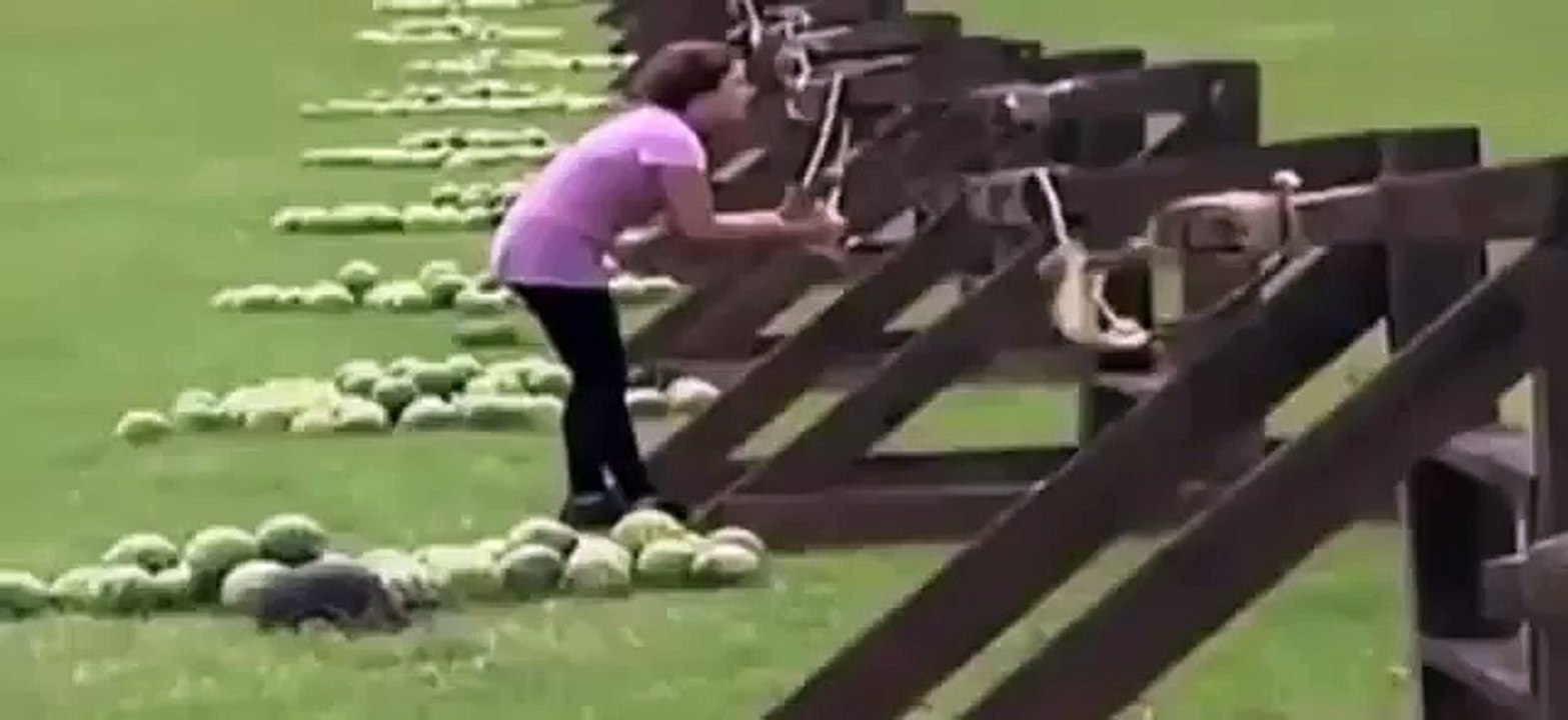 Fail WOMAN SHOOTS WATERMELON OFF SLINGSHOT Lol Prank Epic Fail 2015