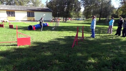 Agility parson russell terrier - Etera 09/2012