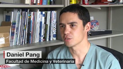 Un gallo vuelve a caminar al ponerle nuevas patas impresas en 3D