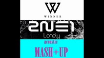 WINNER - Empty / 2NE1 - Lonely KPOP Cover (acoustic mashup)