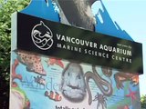 Vancouver Aquarium, British Columbia, Canada