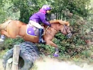 Tweseldown Xc Schooling