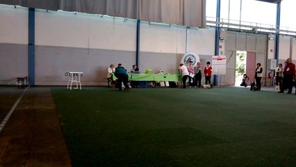 Maestro jugement Saarbrücken 1