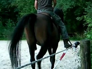 Lodash rijden -na 2 jaar!