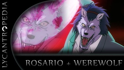 Rosario + Vampire + Werewolf