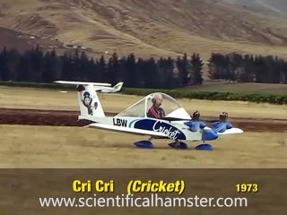 Cri Cri - World's Smallest Twin Engine Aircraft
