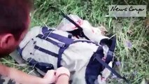 Malaysia Airlines: Video vincula a prorrusos con derribo del MH17 en Ucrania