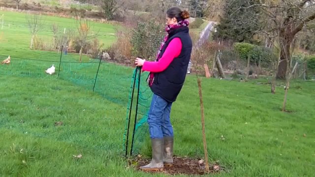 Un filet pour créer un enclos amovible à vos poules