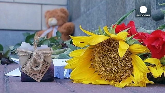 Петро Порошенко: Високотехнологічна зброя, з якої було збито літак, могла потрапити до терористів тільки з Росії