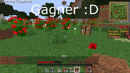 [Minecraft] Montage Zap Fun & Troll | By AraSo (Ft Bowsing) | Fr | HD