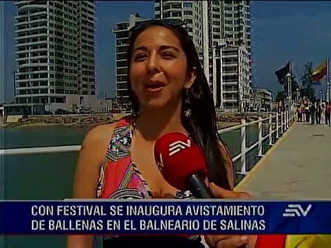 Festival de ballenas jorobadas en Salinas