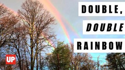 Quadruple Rainbow Connection: theDESK