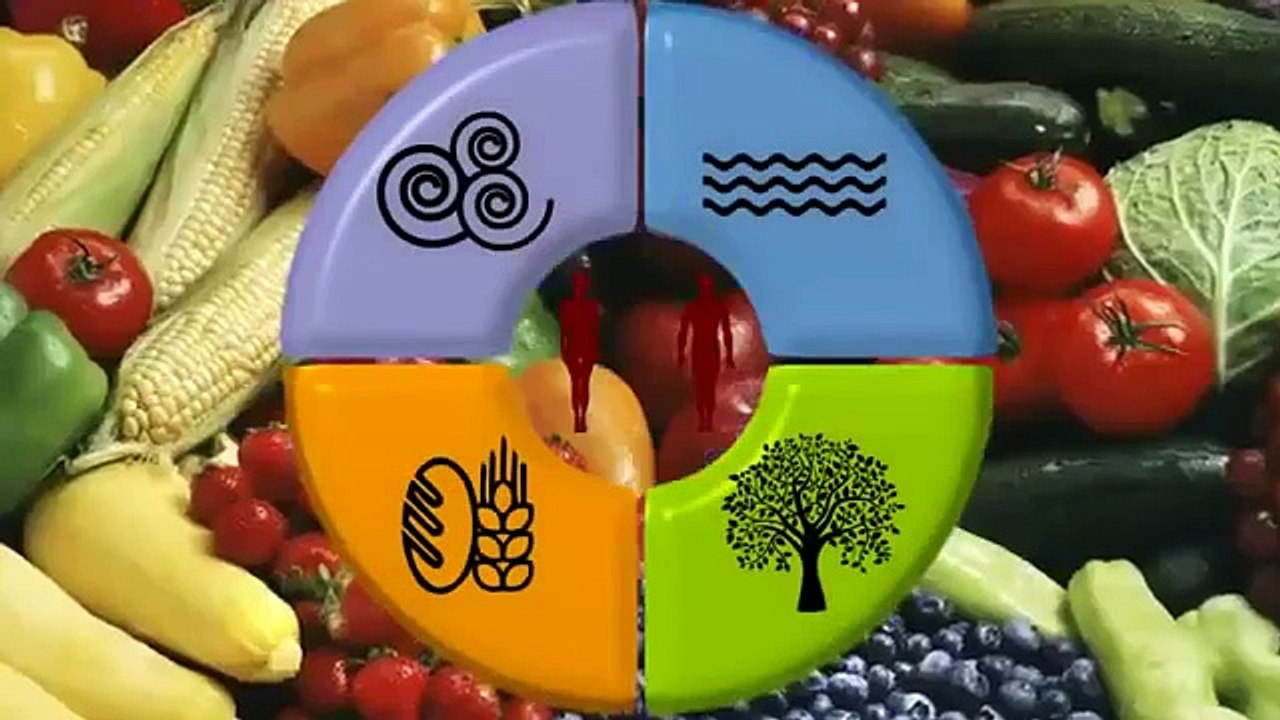 LA GRAN ESTAFA DE TU VIDA (el origen del mal)