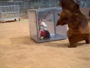 Angry Bear attacks cameraman in zoo