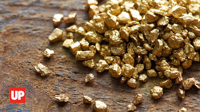 Gold And Other Precious Metals In Human Feces: theDESK